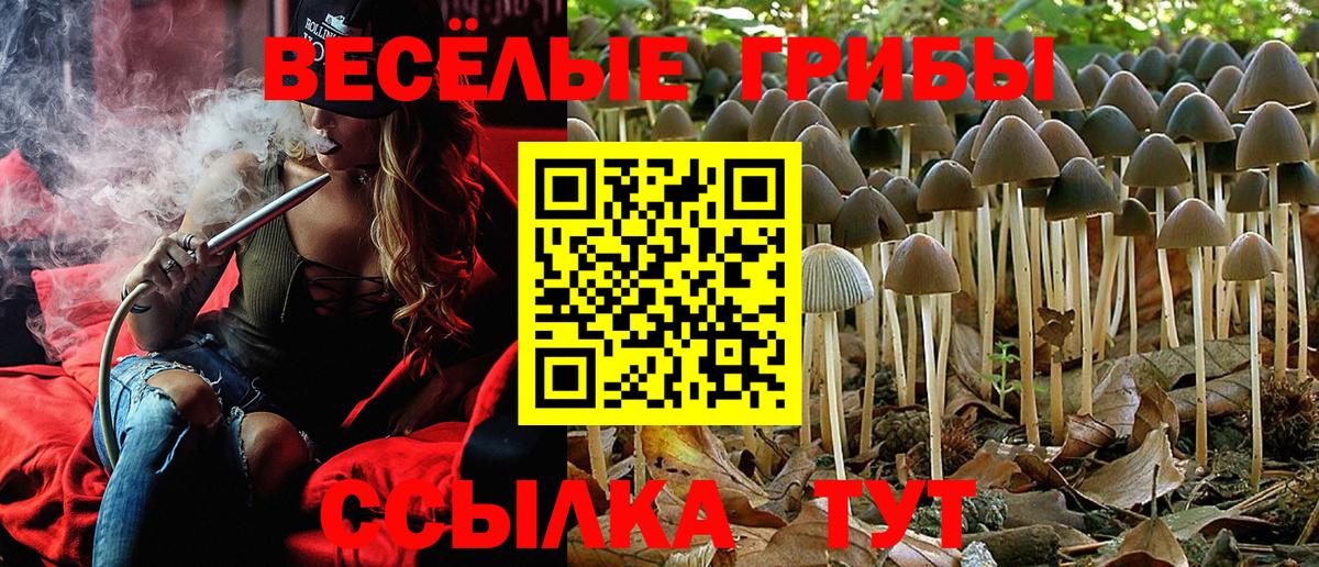 сколько стоит  Галлюциногенные грибы Cubensis  Вход с VPN  Тара 